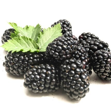 NATA Dondurulmuş Böğürtlen 10 Kg